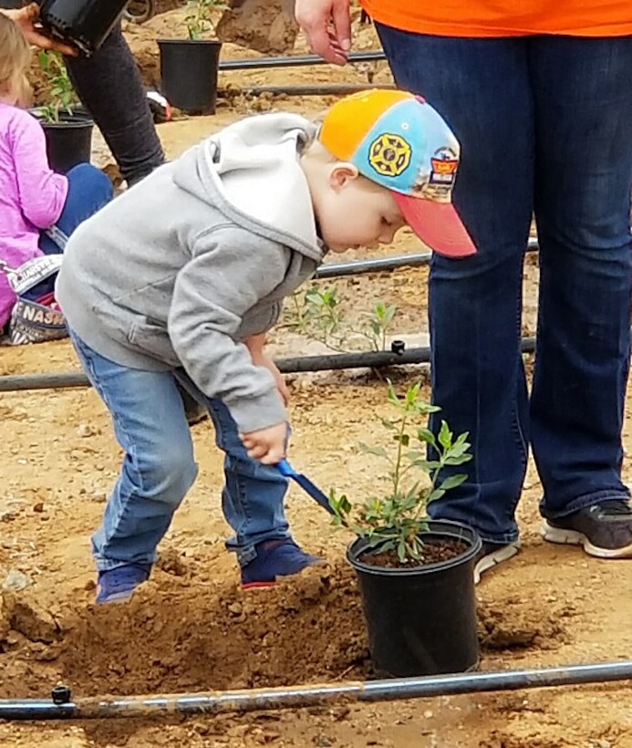 A little boy helps dig a hole to plant native vegetation during a community planting event May 12 near the Santa Ana River in Norco, California.