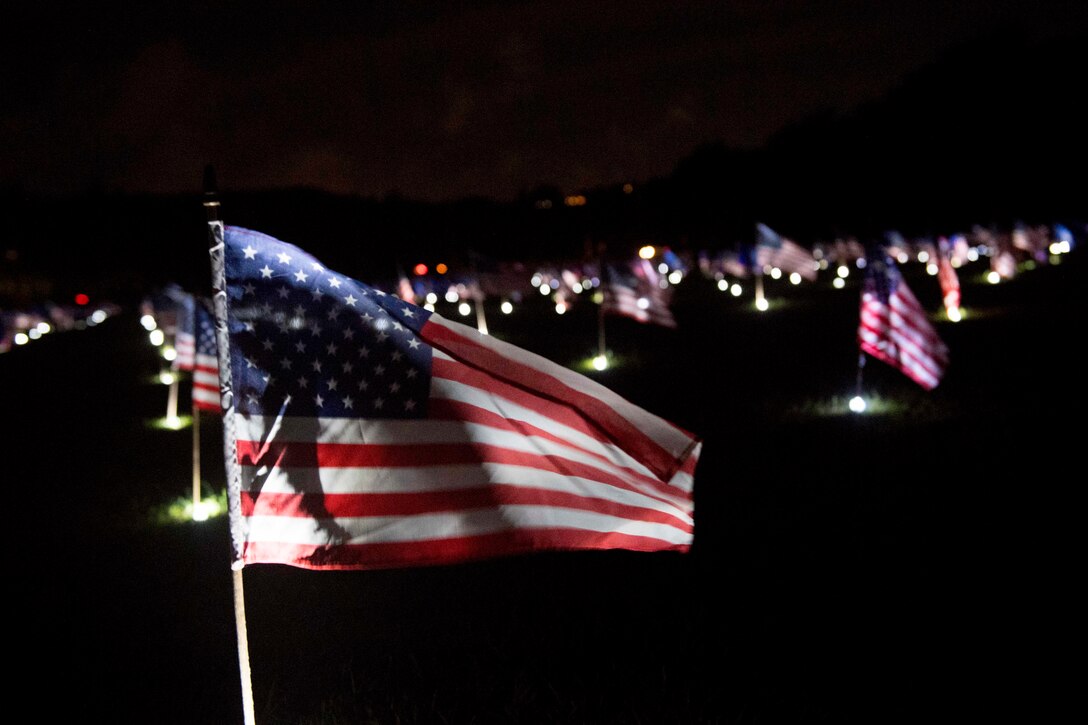Rows of American flags illuminated by lights.