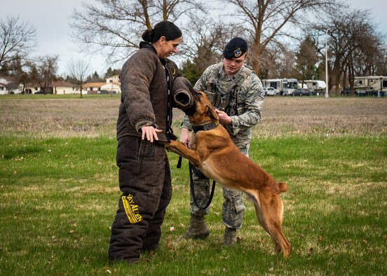 Master Sgt. Maggie Trujillo, 92nd Security Forces Squadron first sergeant, assists Staff Sgt. Thomas Newman, 92nd SFS Military Working Dog handler, with a K9 demonstration. First sergeants engage with Airmen outside of their office to build rapport and engage in the units. (U.S. Air Force photo/Airman 1st Class Whitney Laine)