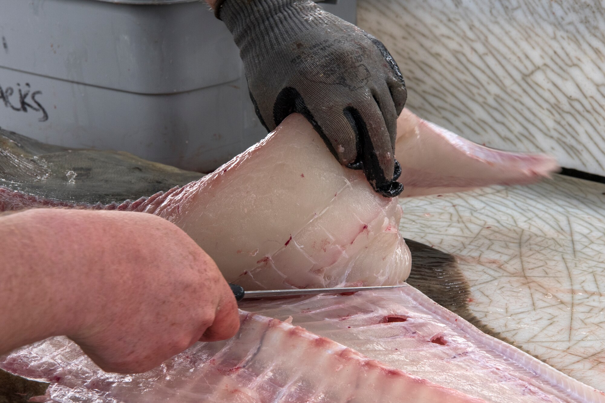 Justin Freimarck, crew member of the Puffin Fishing Charter vessel ‘Tenacious,’ cuts up a halibut after the fish were weighed during the 2018 Armed Services YMCA of Alaska Combat Fishing Tournament in Seward, Alaska, May 24, 2018. Founded in 2006, the tournament was established as a way of showing thanks and honor to service members through an opportunity to go deep-sea fishing. This is Freimarck’s first time participating in the tournament.