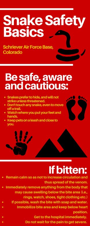 Snakes On A Base Be Cautious Aware 310th Space Wing Article Display