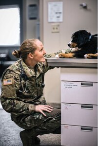 Caucasian female CPT Veterinarian wearing OCP kneeling in Veterinary office with a dog.