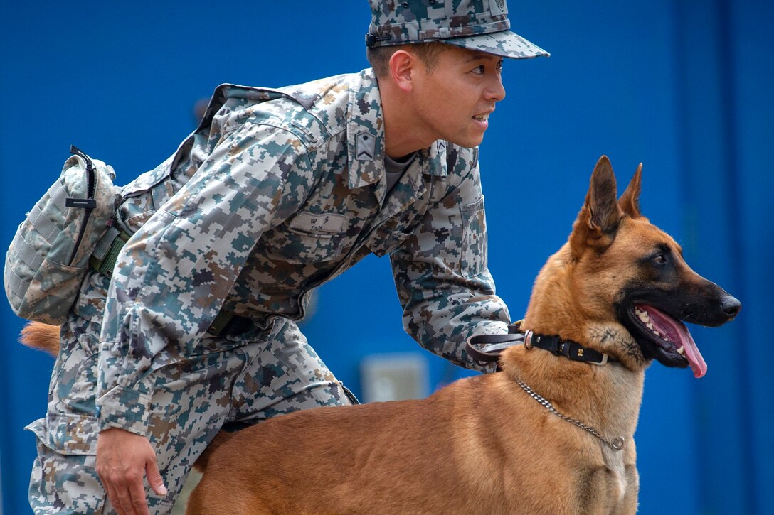 A Japanese airman and his military working dog survey the training area.