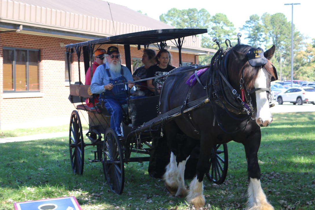 Horse-drawn buggy rides was one of several activities open to attendees of the Military Appreciation: Past, Present and Future Picnic, held Oct. 12 at Arnold Lakeside Center. (U.S. Air Force photo by Bradley Hicks)