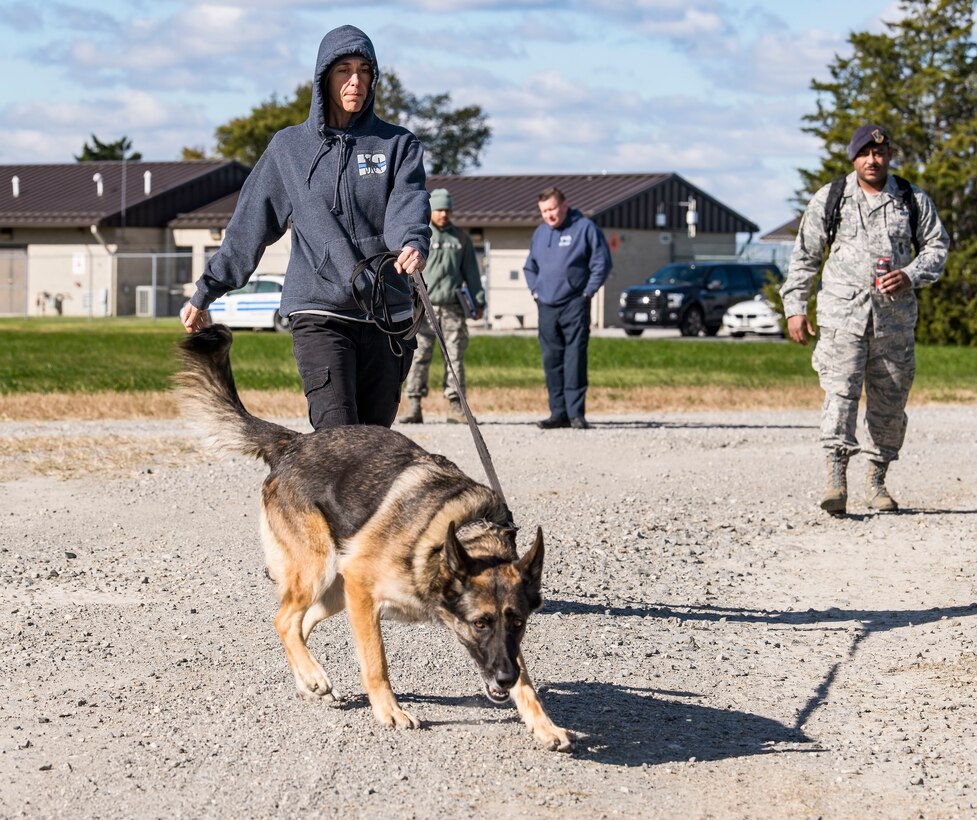 Sgt. Katie Edgar, Worcester County, Md., Sheriff’s Department K-9 Unit supervisor, along with her partner, “Brina,” a three-year-old German Shepherd narcotics detection dog, search for hidden narcotics Oct. 24, 2018, at Dover Air Force Base, Del. Tech. Sgt. Dominique Singleton, right, 436th Security Forces Squadron military working dog kennel master, set up two separate areas containing narcotics or explosives. (U.S. Air Force photo by Roland Balik)