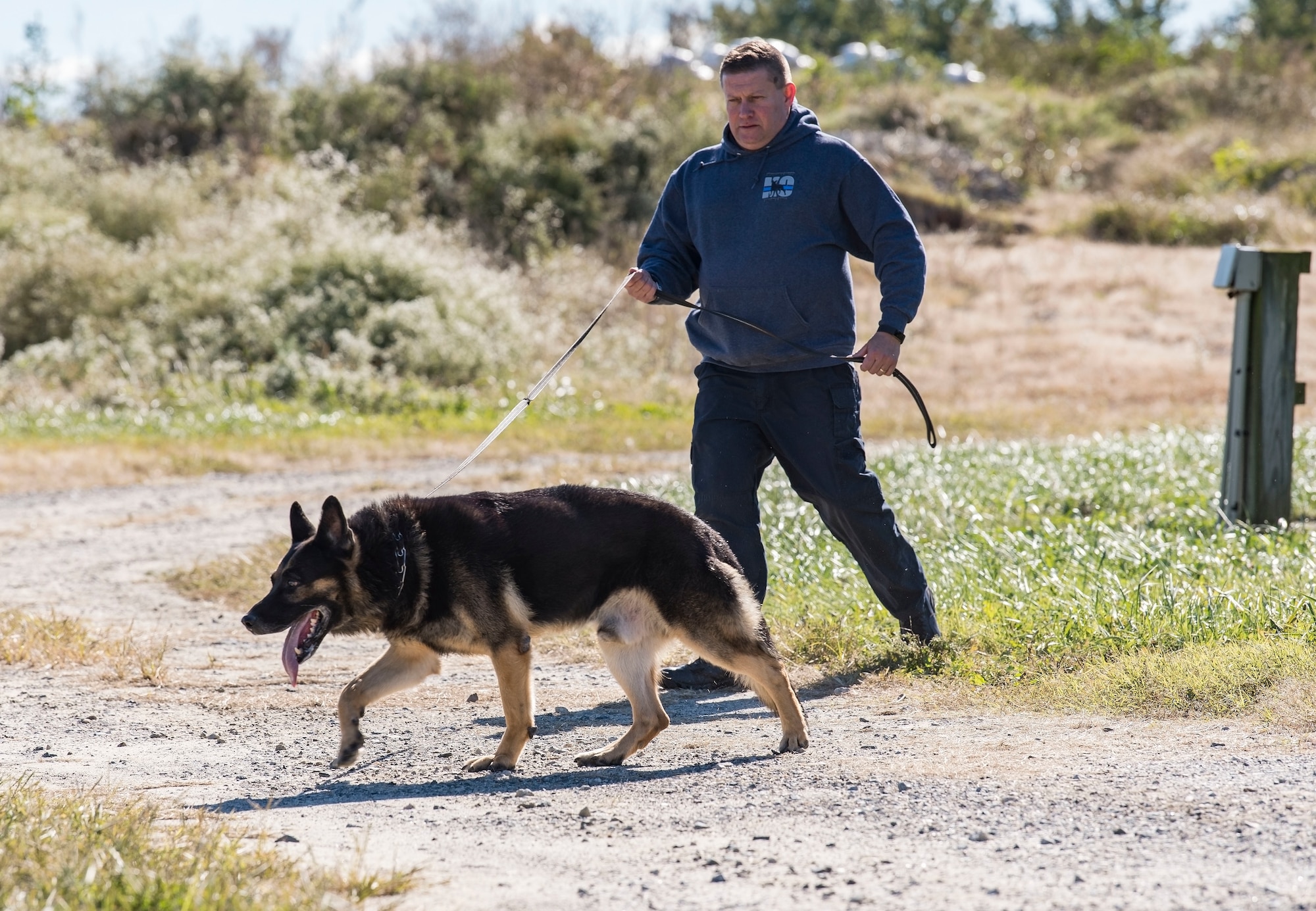 Cpl. Dale Trotter, Worcester County, Md., Sheriff’s Department K-9 Unit handler, lets his partner, “Edo,” a nine-year-old German Shepherd explosive detection dog, search for hidden explosives Oct. 24, 2018, at Dover Air Force Base, Del. Trotter and Edo were paired up in 2012, and are responsible for covering the eastern shore of Maryland and Virginia and parts of lower Delaware. (U.S. Air Force photo by Roland Balik)