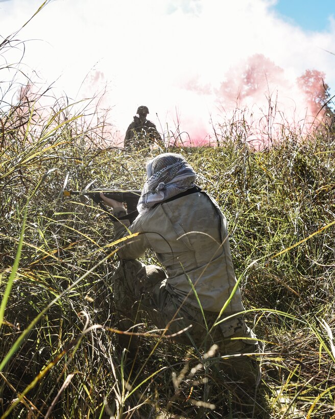 U.S. Army Spc. Esther Harper-Smith, 1098th Transportation Detachment, 11th Trans. Battalion, 7th Trans. Brigade (Expeditionary) orderly room clerk, hides in tall grass, dressed in opposition force attire, preparing to simulate an attack on the 331st Trans. Company at Fort. Pickett, Virginia. Oct. 29, 2018.