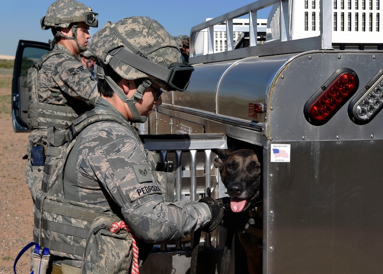 56th Security Forces Squadron military working dog handlers prepare their dogs for a joint training exercise with the Arizona Army National Guard at Glendale Municipal Airport Nov. 2, 2018, in Glendale, Ariz.