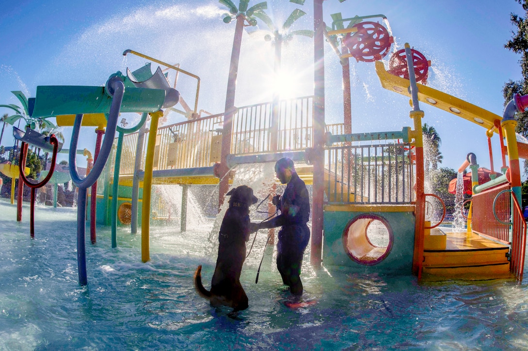 An airman and his dog train in a water park.