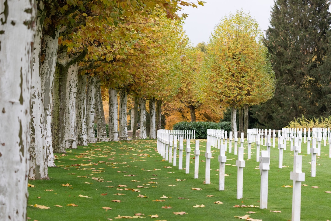 Trees in a grove show fall colors near grave markers shaped like crosses.