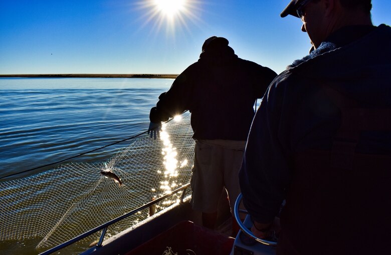 Volunteers help CPW biologists survey John Martin Reservoir fish population