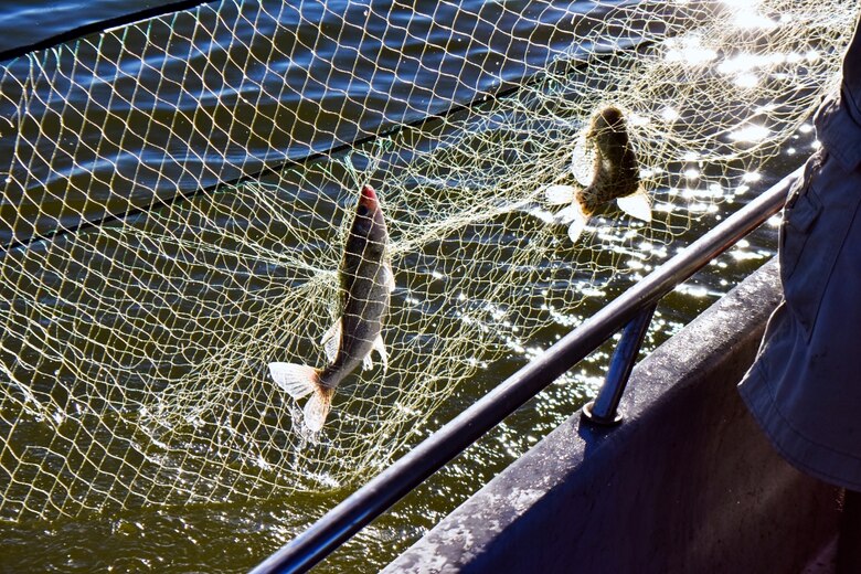 Volunteers help CPW biologists survey John Martin Reservoir fish population