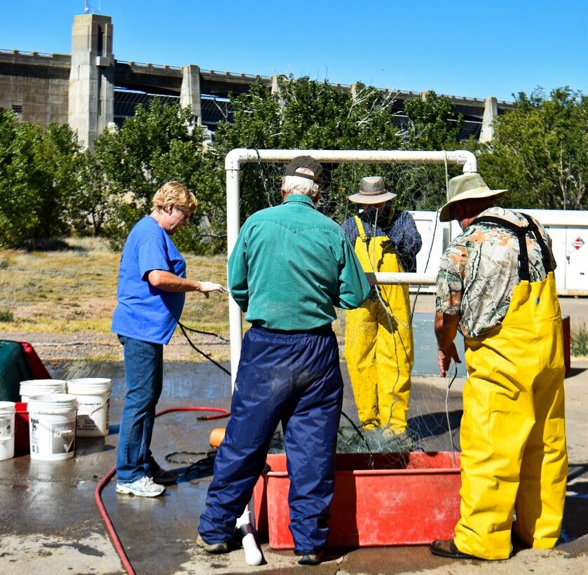 Volunteers help CPW biologists survey John Martin Reservoir fish population