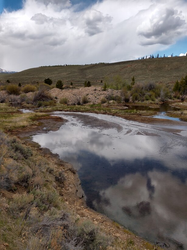 A one-acre pond where Corske and Box Creek confluence with adjacent historic Box Creek placer mine tailings.