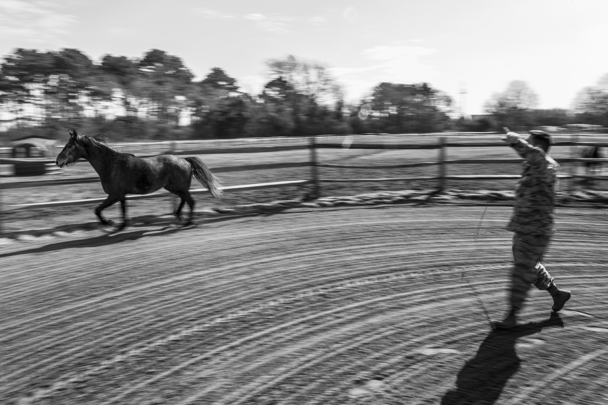 U.S. Air Force Staff Sgt. Cody Wisley, 83rd Network Operations Squadron boundary protection supervisor, has his horse Steel run in a round pen at Joint Base Langley-Eustis, Virginia, April 12, 2018.