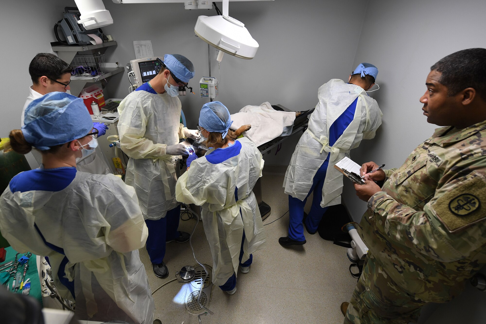 A group of people work over a dog laying on a operating table.
