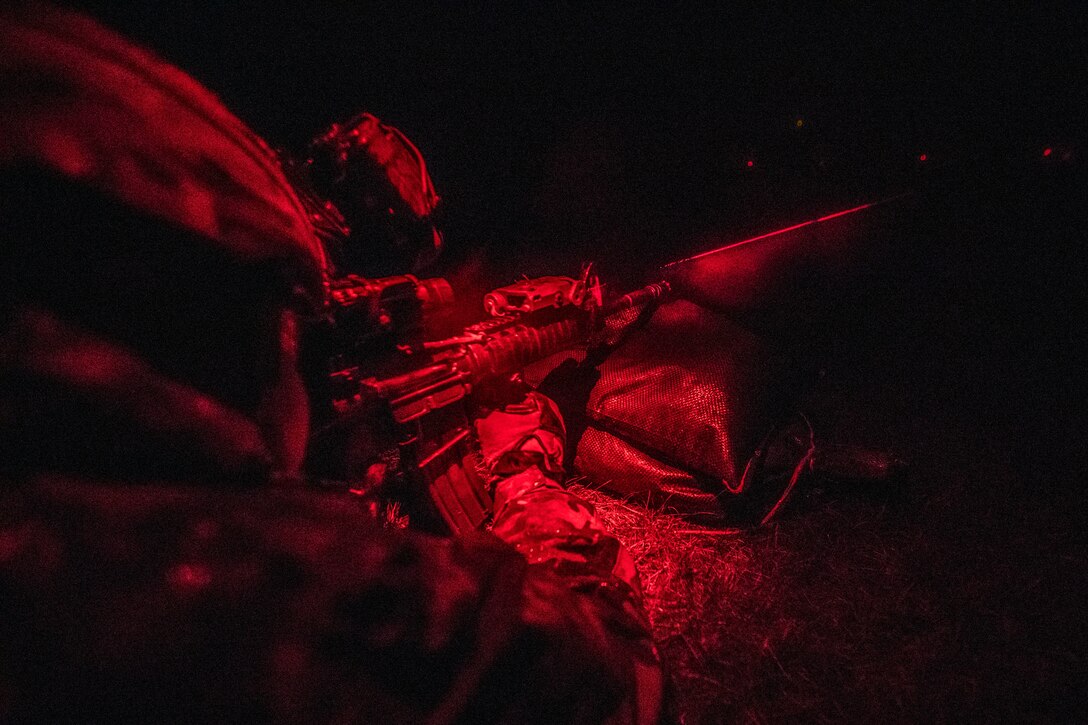 Soldiers crouch during live-fire training under the night sky.