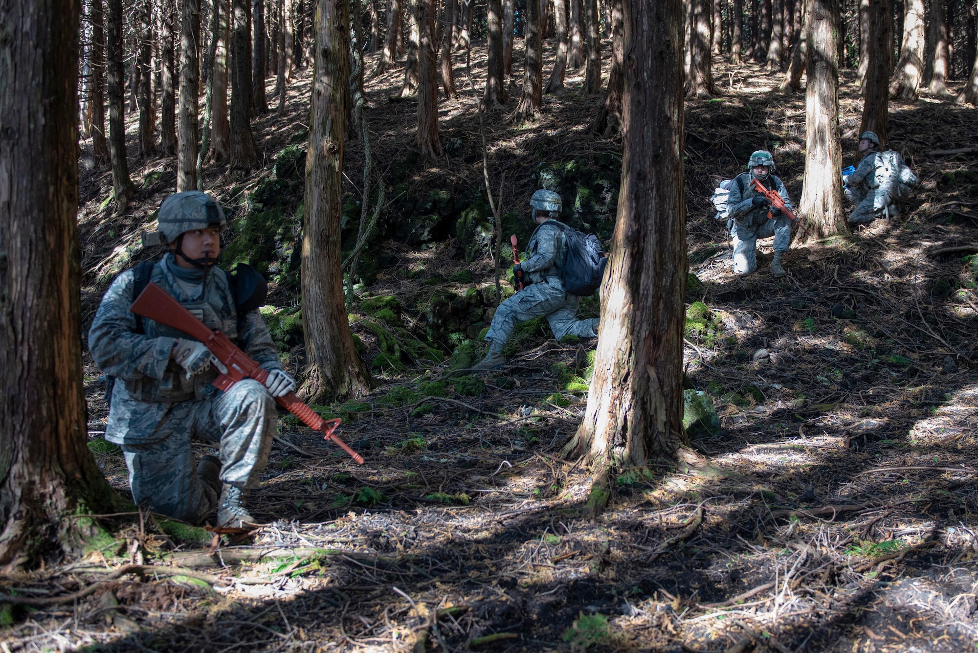 Airmen from the 374th Security Forces Squadron take cover behind trees while the team lead determines their course during a field training exercise at Camp Fuji, Japan, Nov. 8, 2018.
