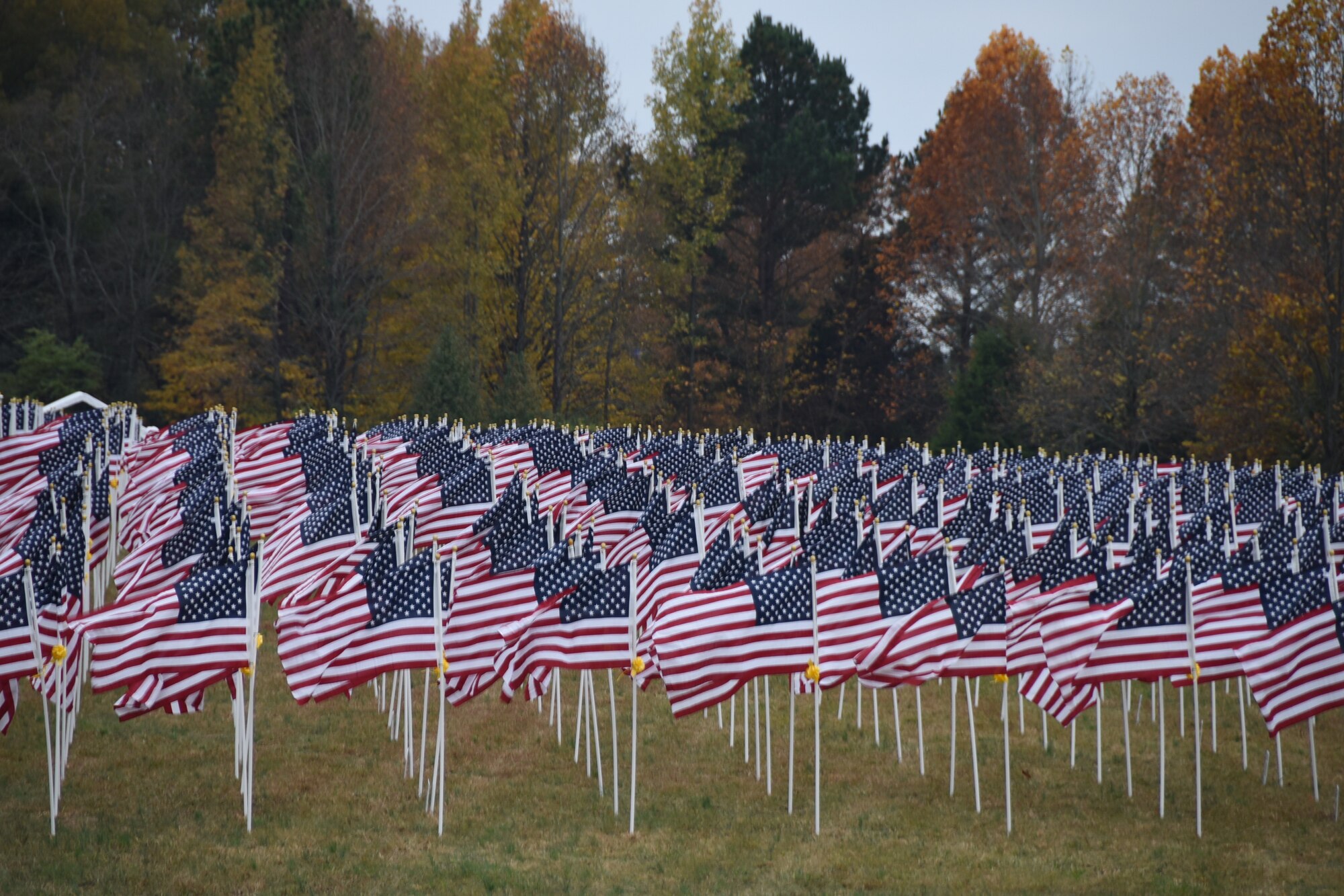 Over 1000 flags wave in the wind for a Veterans Day weekend event on Nov. 9, 2018 in Hermitage, Tennessee.