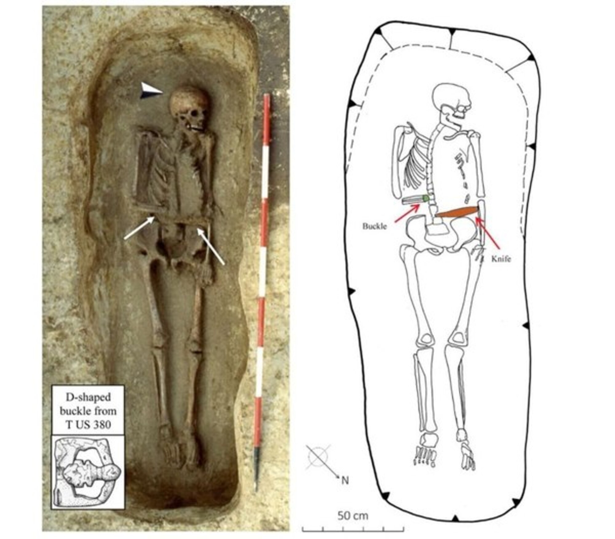 A photo and drawing of the unearthed warrior "Bob," equipped with his knife hand. (Ileana Micarelli and colleagues, Journal of Anthropological Sciences)
