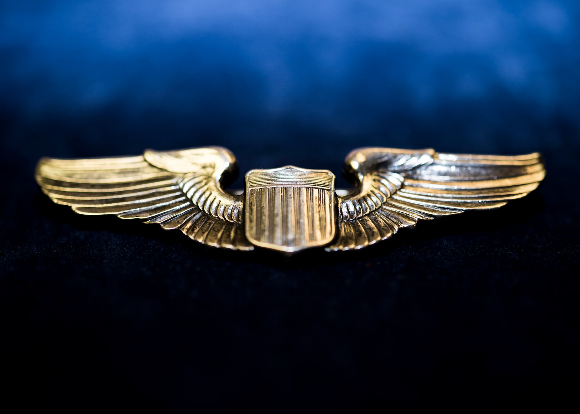 Capt. Selwyn Flowers Wings