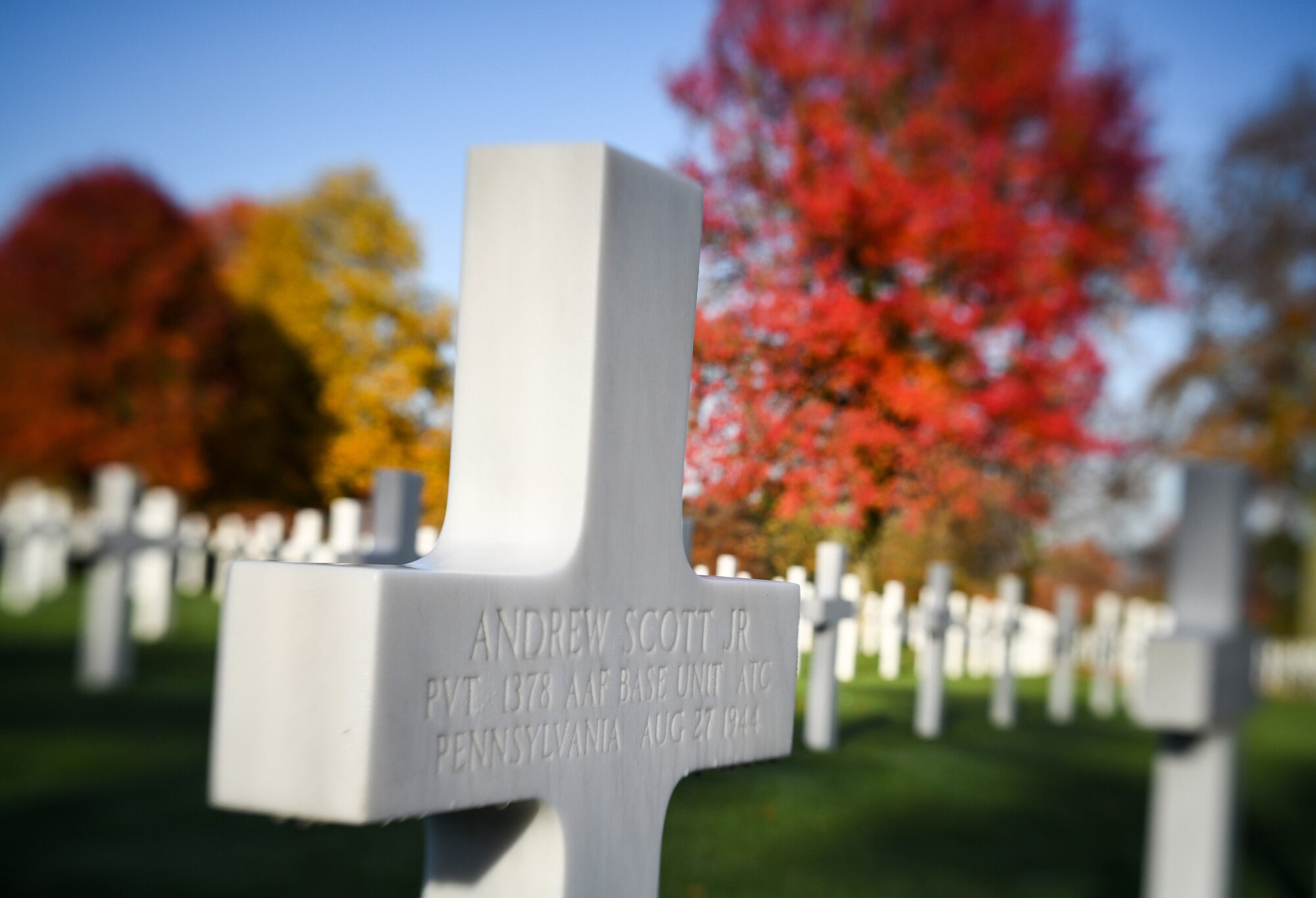 Veterans Day