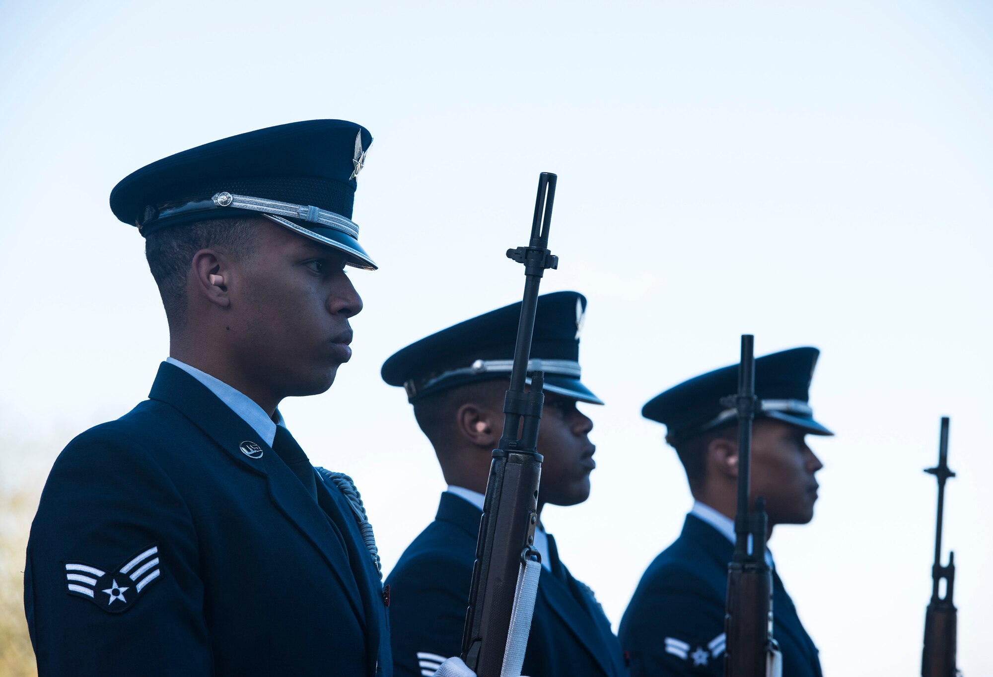 Veterans Day