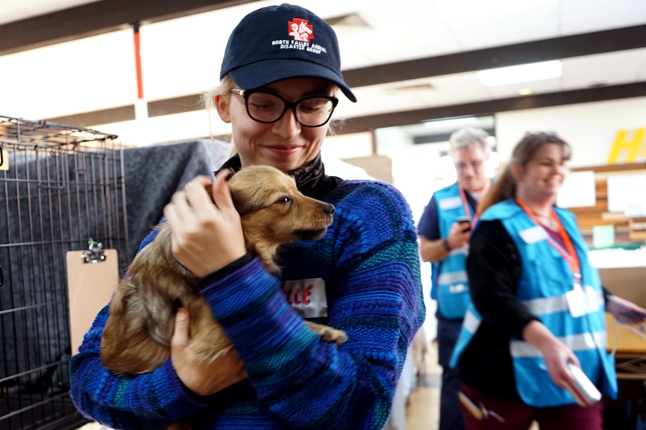 A woman holds a small dog in her arms.