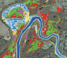 Simulated forest and plant communities.