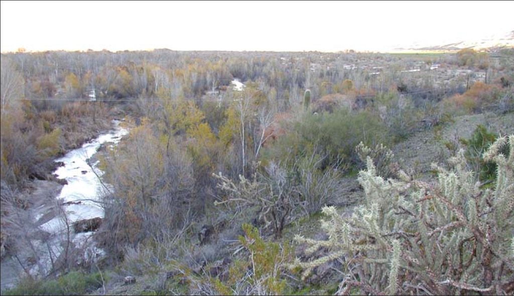 The Bill Williams River and floodplain are shown during a time of high release from Alamo Dam. High flows in the Bill Williams are critical for renewing riparian forest and maintaining channel habitat.