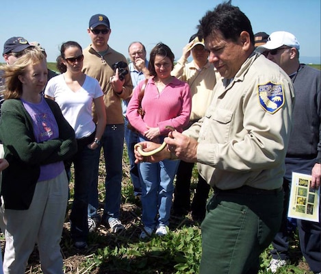 Dave Feliz, California Fish and Game, finds a mascot (a western yellow racer snake) for the Hydrology for Restoration course during a fieldtrip to the Yolo Basin Wetlands. The Yolo Wetlands Project was one of the first Corps’ 1135 projects.