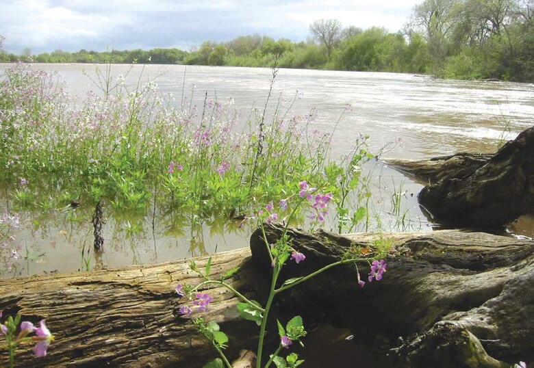 Floodplains support high levels of biodiversity and contain diverse habitat types that are created and maintained by floods.