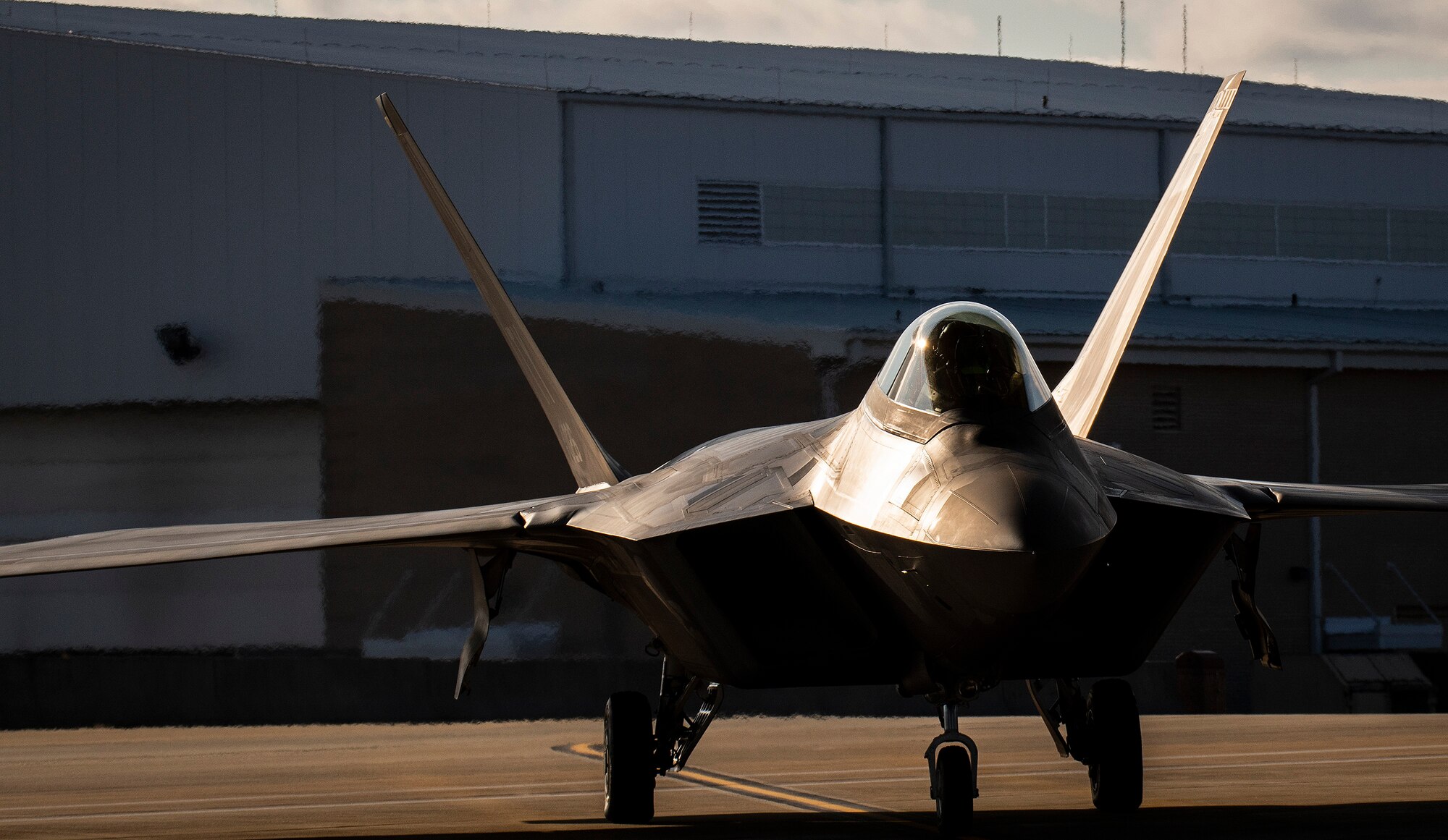 Raptors arrive