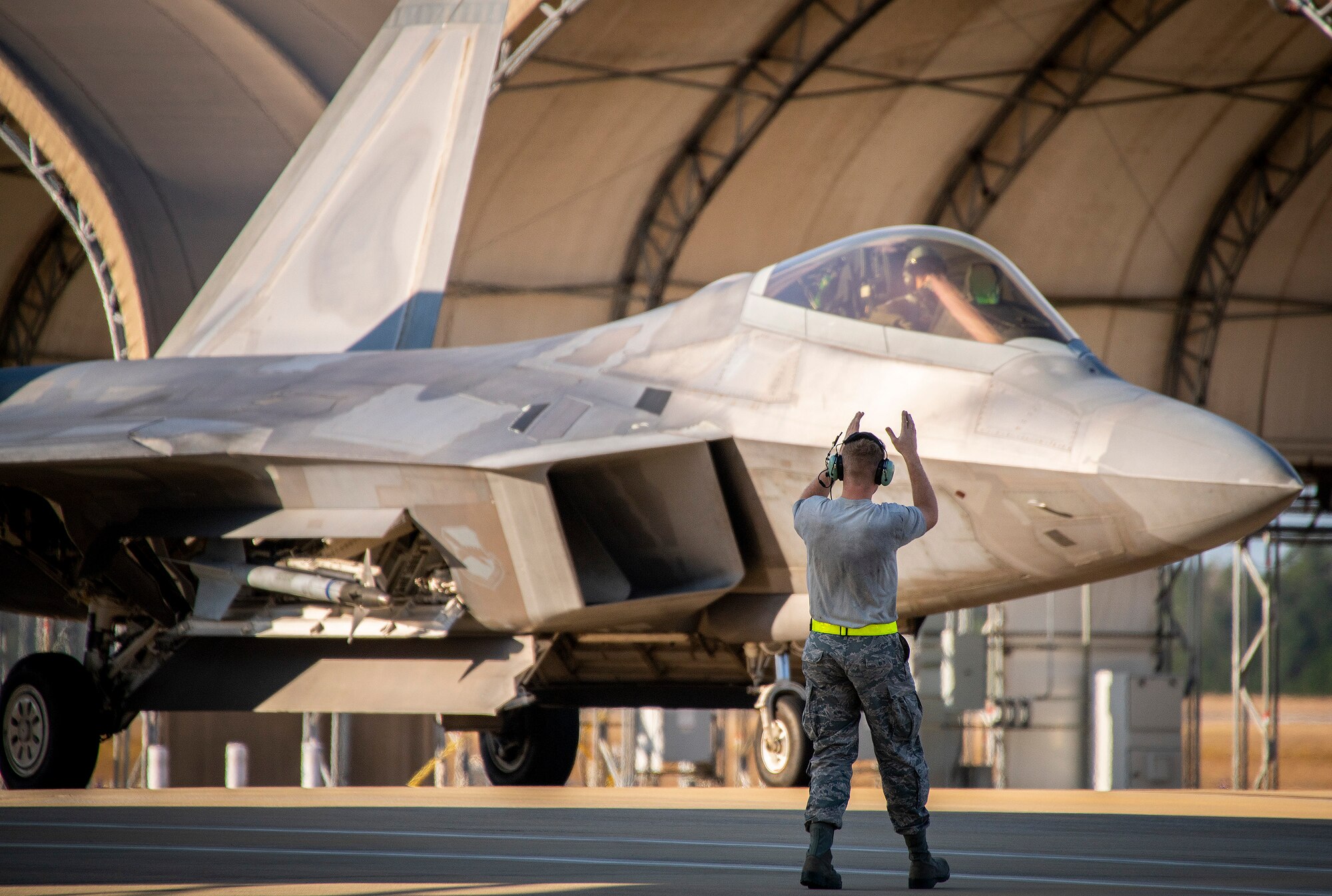 Raptors arrive