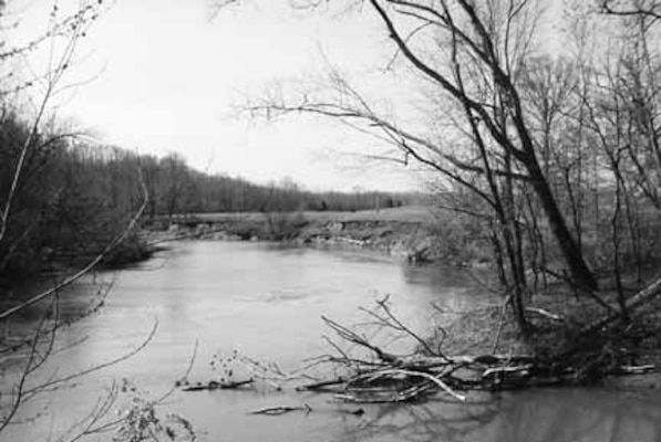 Green River Handy Riparian Habitat Restoration Project (or simply, GR ecosystem restoration site) Near Greensburg, Kentucky (photo by Richie Kessler, TNC, Winter, 2000-2001).