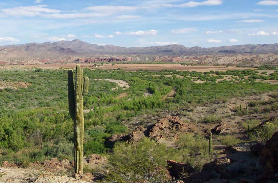 Bill Williams National Wildlife Refuge, Arizona. The Bill Williams River drains more than 5,200 square miles of rugged, mountainous terrain in west-central Arizona.