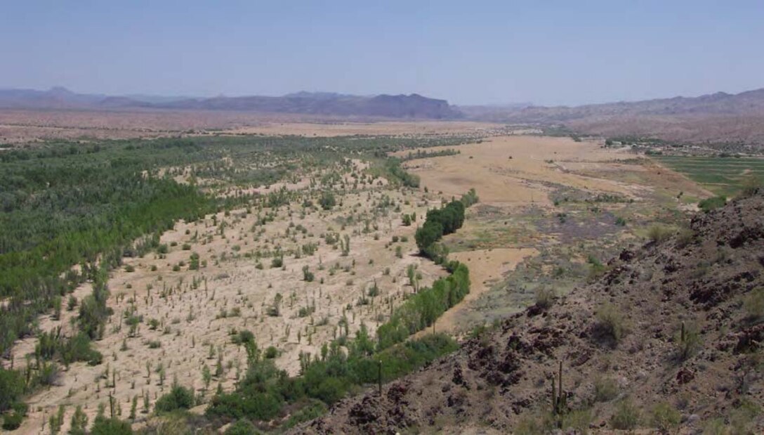 Alluvial valley reach of the Bill Williams River, Arizona. The Bill Williams River channel is characterized by a series of relatively narrow bedrock gorges separated by wider, alluvial reaches.