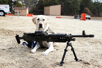 Unit Ministry Dog Boosts Morale