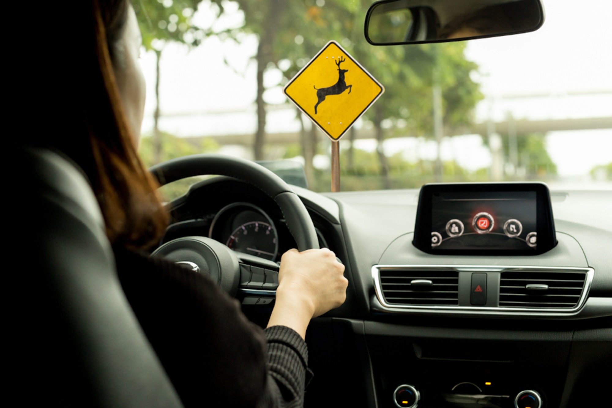 Deer crossing: It’s that time of year again