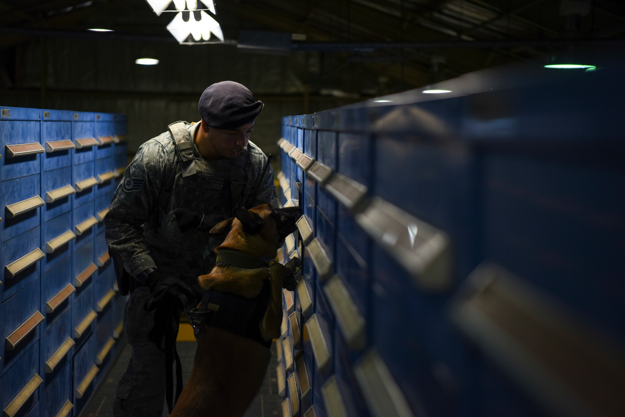 U.S. Air Force Staff Sgt. Dominic Williams, 8th Security Forces Squadron military working dog handler, conducts substance detection training with Ooyvey, 8th SFS MWD, at Kunsan Air Base, Republic of Korea, Nov. 20, 2018. Substance detection training teaches MWDs to seek out and detect explosives, narcotics and other various substances for the protection of U.S. Air Force assets and personnel. (U.S. Air Force photo by Senior Airman Savannah L. Waters)