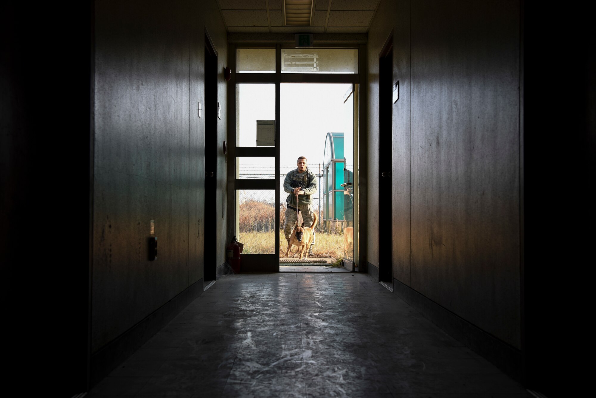 U.S. Air Force Staff Sgt. Dominic Williams, 8th Security Forces Squadron military working dog handler, and Ooyvey, 8th SFS MWD, perform a building search at Kunsan Air Base, Republic of Korea, Nov. 20, 2018. Military working dogs train on phases of controlled aggression, which consist of field interviews, pursuit and attacks, search and escorts, search and re-attacks, and stand-offs. (U.S. Air Force photo by Senior Airman Savannah L. Waters)