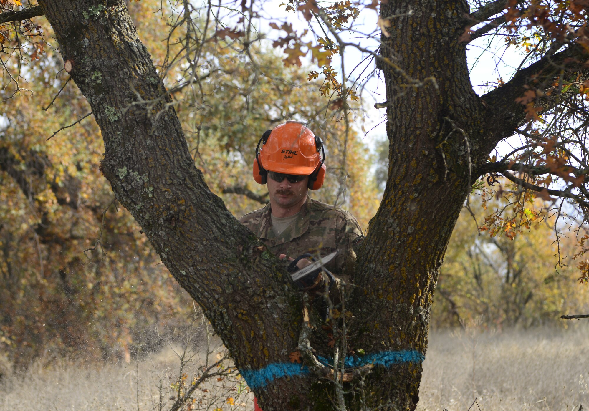 Lumber jacks of all trades: 9th CES Dirt Boyz cut trees, clear brush