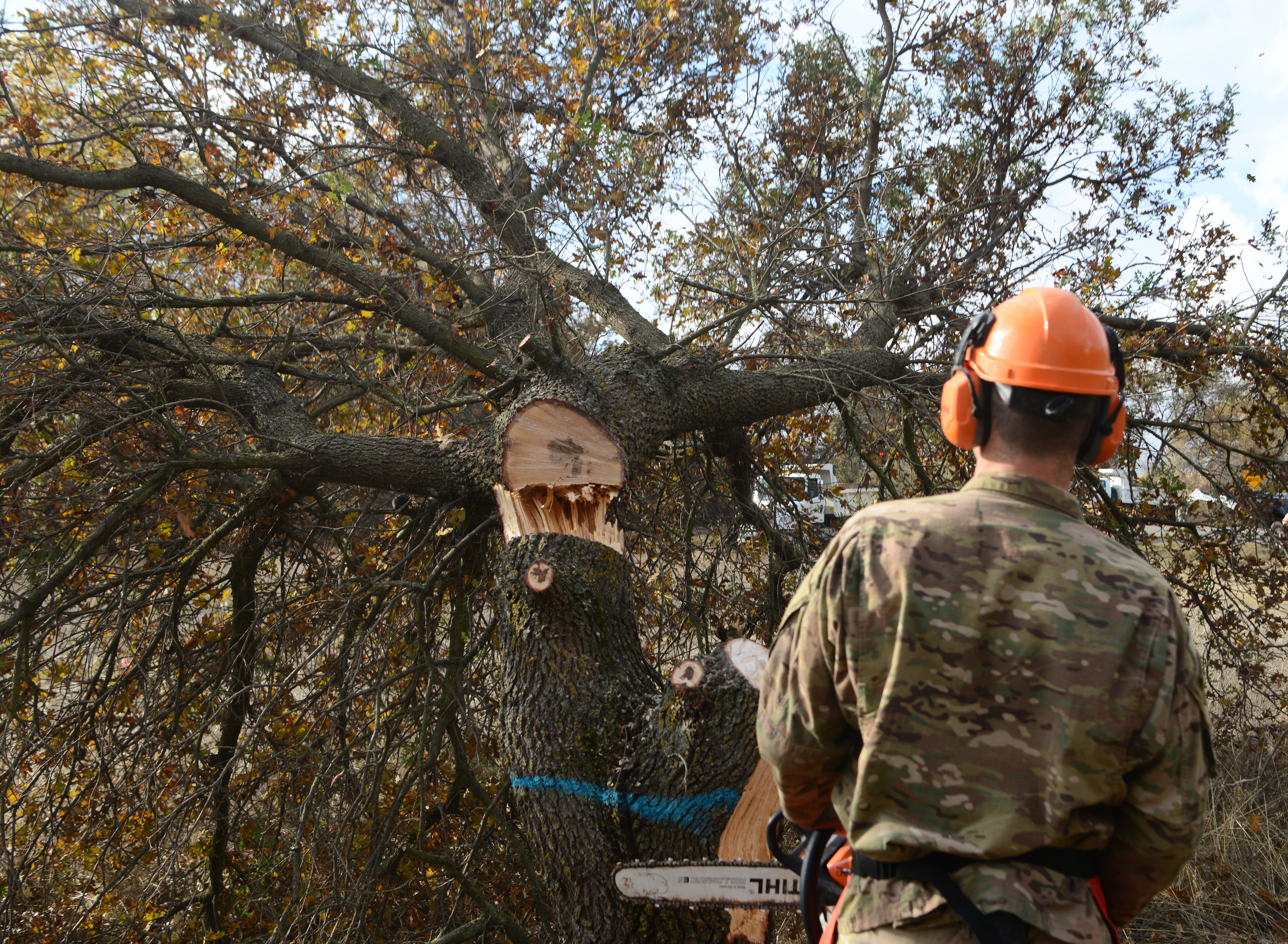 Lumber jacks of all trades 9th CES Dirt Boyz cut trees, clear brush