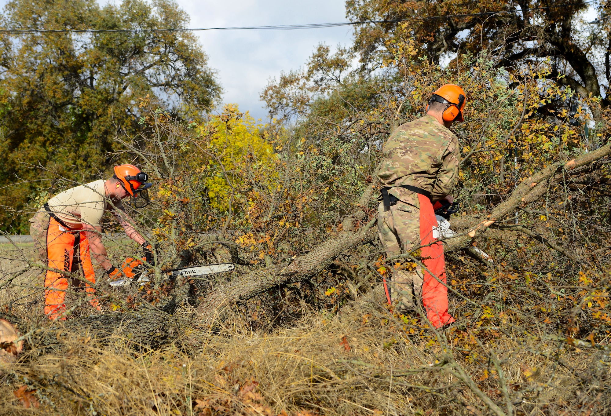 Lumber jacks of all trades: 9th CES Dirt Boyz cut trees, clear brush