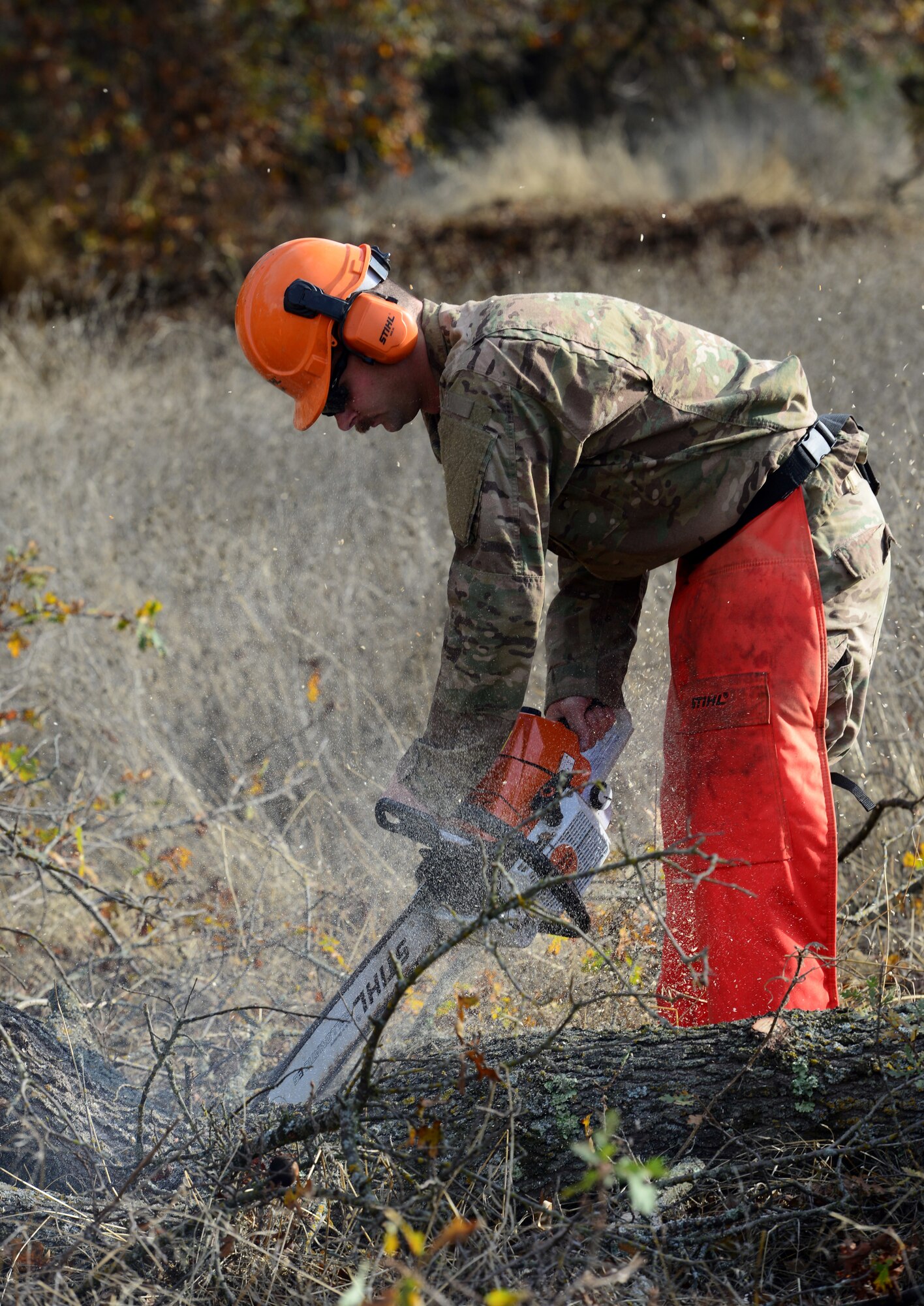 Lumber jacks of all trades: 9th CES Dirt Boyz cut trees, clear brush