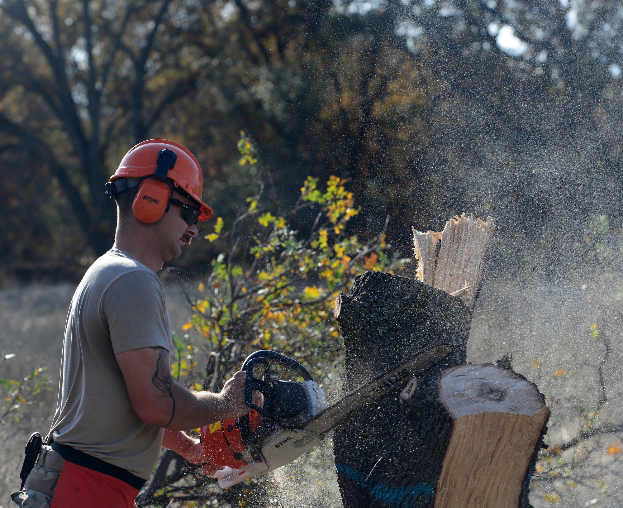 Lumber jacks of all trades: 9th CES Dirt Boyz cut trees, clear brush