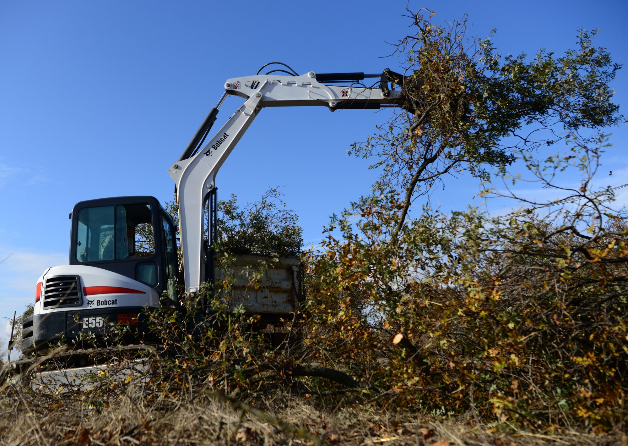 Lumber jacks of all trades: 9th CES Dirt Boyz cut trees, clear brush