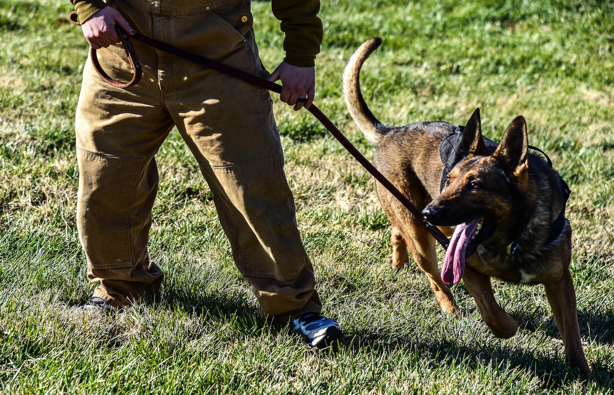 22 SFS, 22 ARW, Wichita, MWD