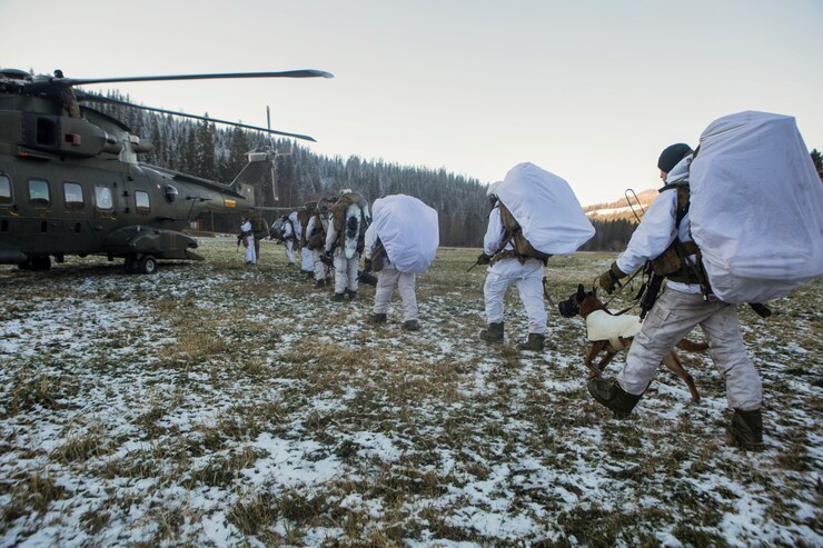 U.S. Marines with 2nd Air Naval Gunfire Liaison Company and Norwegian Soldiers proceed to board Dutch helicopter in order to be dropped off at a forward observation position during cold-weather training at Haltdalen, Norway, Oct. 28, 2018. Trident Juncture 2018 enhances the U.S. and NATO Allies' and partners' abilities to work together collectively to conduct military operations under challenging conditions. (U.S. Marine Corps photo by Cpl. David Delgadillo)