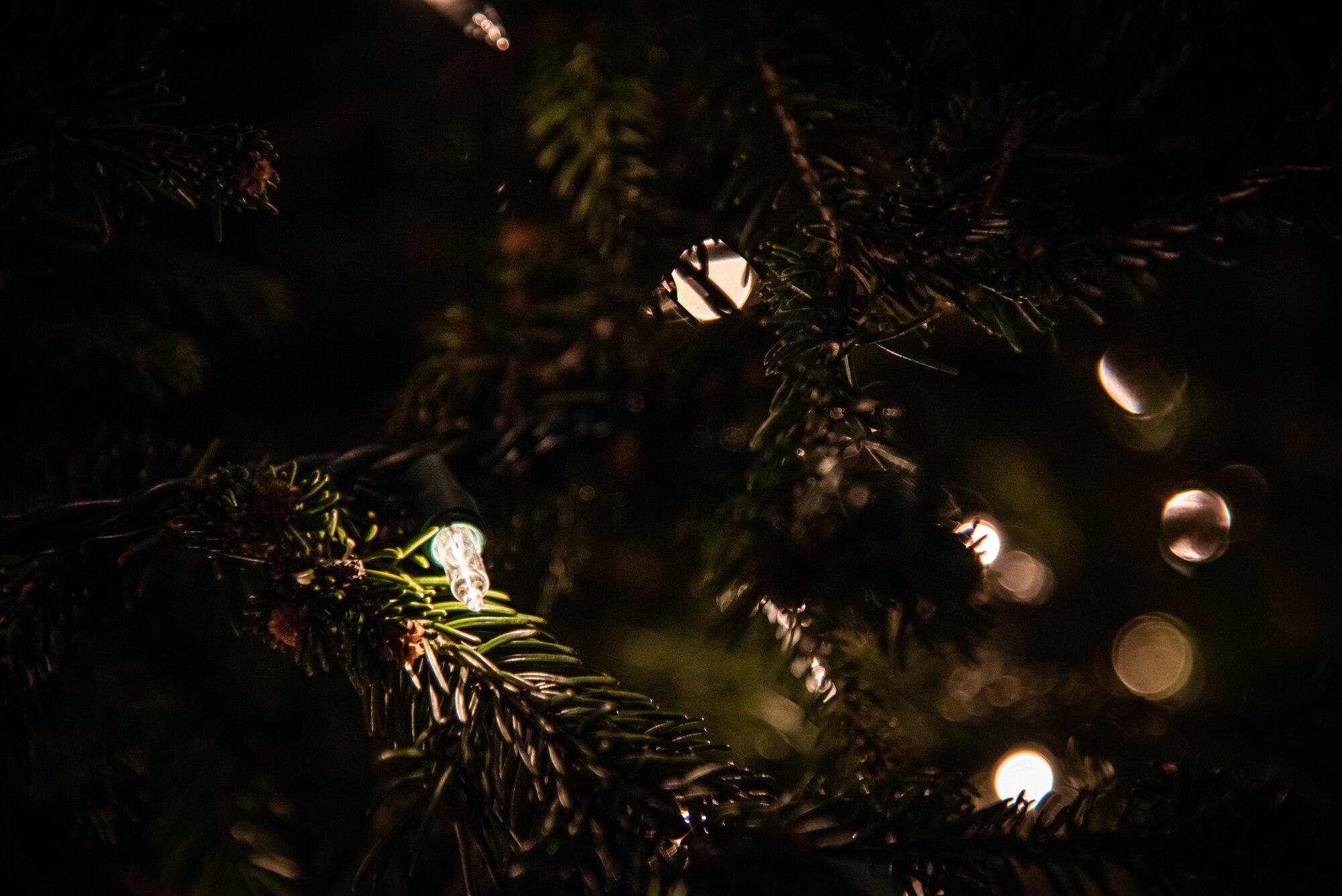 Lights shine on a Holiday Tree at Shaw Air Force Base, S.C. Nov 29, 2018.